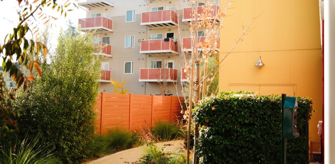 Pathway lined with hedges of a brightly colored building