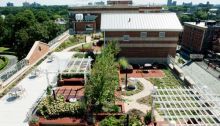 rooftop garden