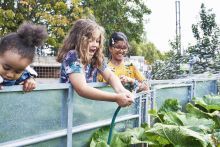 Three little girls watering a garden