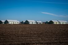 Long shot of rows of duplex apartments with a field of grass in the foreground.