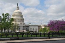 U.S. Capitol with trees in bloom