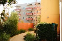 Pathway lined with hedges of a brightly colored building