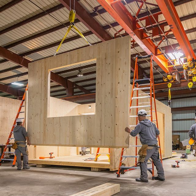 Construction workers putting together the walls of a timber structure