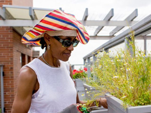 A woman holds an item in front of a planter